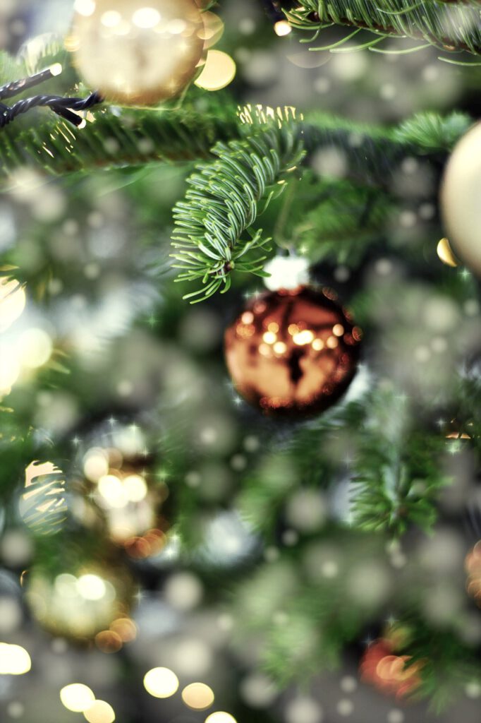 Weihnachtliche Fotoaktion bei Katrin Schindler